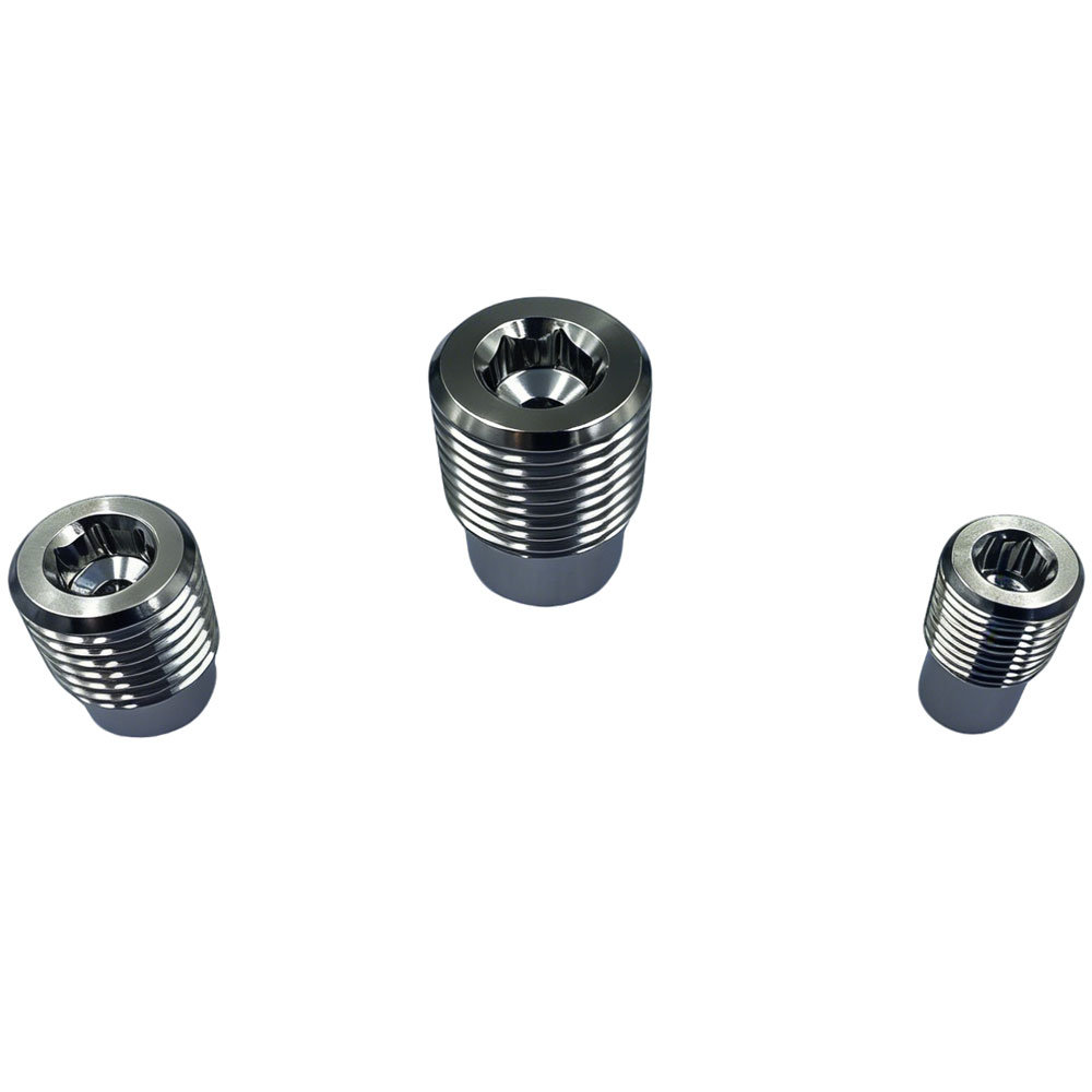 Internal check valve