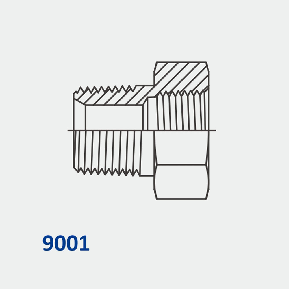 Conversion Adapters 9001 MBSPT-FBSPT Bushing